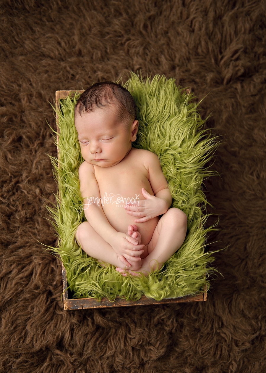 Fayetteville Newborn Photographer