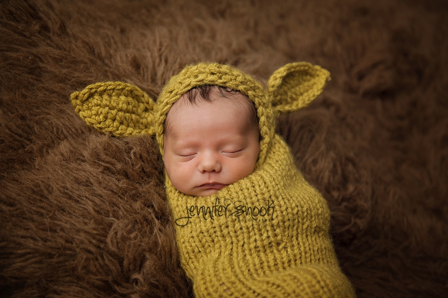 Fayetteville Newborn Photographer